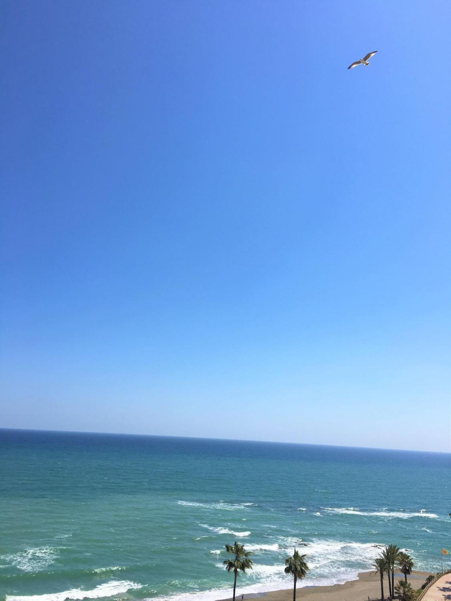 Frontal Sea View Apartment Benalbeach ベナルマデナ エクステリア 写真